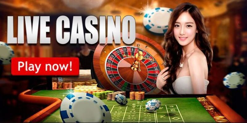 Dealer là gì trong sòng bạc