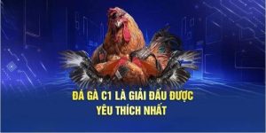 Đá  Gà Chọi C1 – Thiên Đường Cá Cược Đầy Khốc Liệt